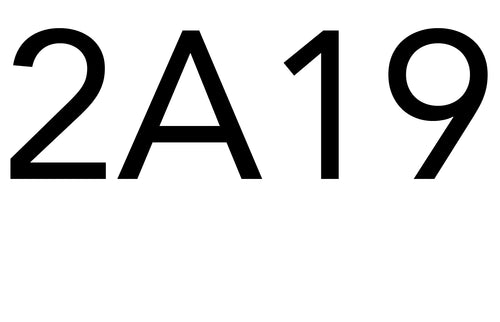 2A19